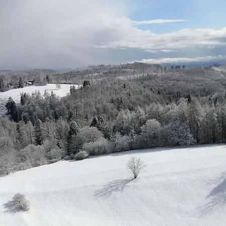 Apartamento Harzblick - Traumaussicht & Schwimmbad
