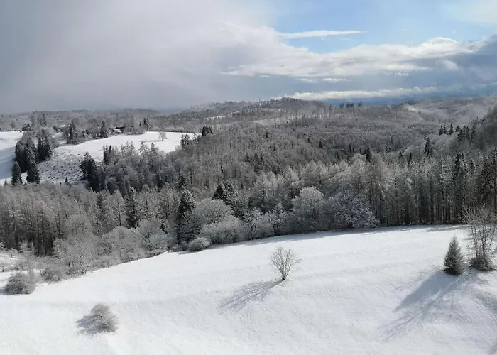 Апартаменты Harzblick - Traumaussicht & Schwimmbad