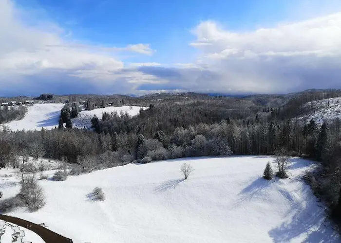 Harzblick - Traumaussicht & Schwimmbad Апартаменты Хоегайс